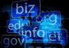 Domain Names