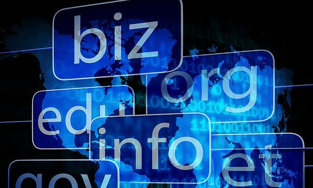 Domain Names